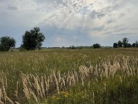 Radtour Oder Ostsee-023
